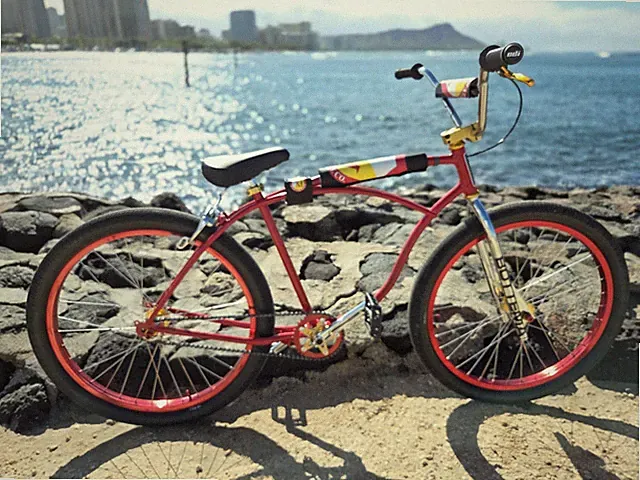 Schwinn 26-Inch Custom Cruiser Bike.